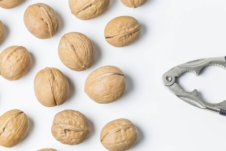 Walnutの写真素材