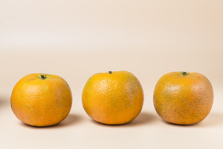 Orangeの写真素材