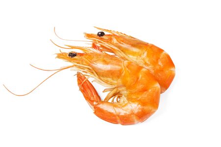 Shrimpの写真素材