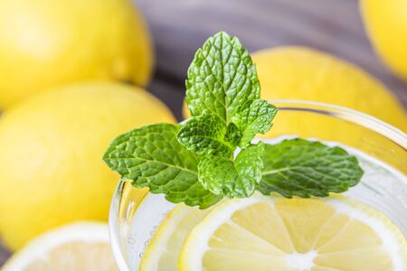 lemon mint drinkの写真素材