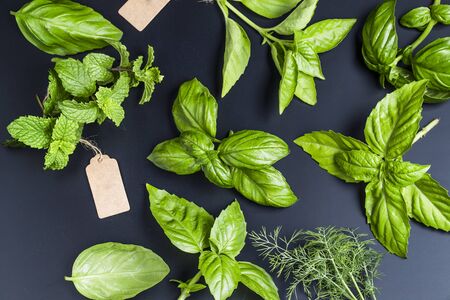 basil