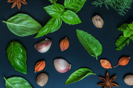 Spices in dark backgroundの写真素材