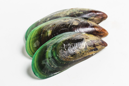 musselの写真素材