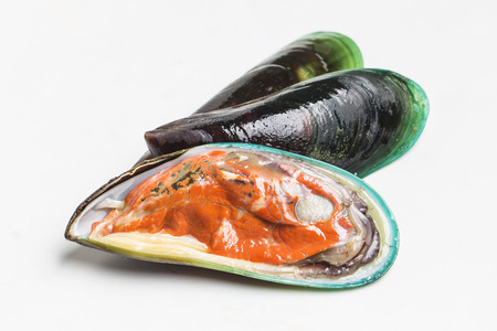 mussel