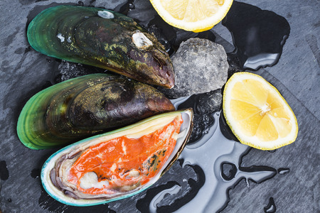 mussel