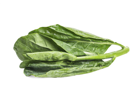 Chinese kale vegetable isolated on white background.