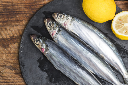 Sardine