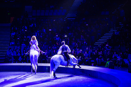 Circus horse performance curtain callのeditorial素材