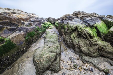 Seaside, reef