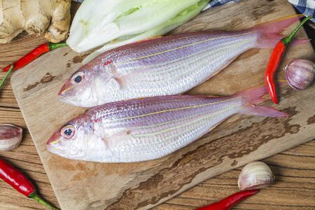 Sea bream fish