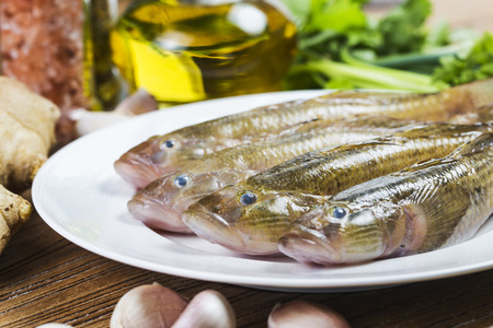raw Synodontidae on plate