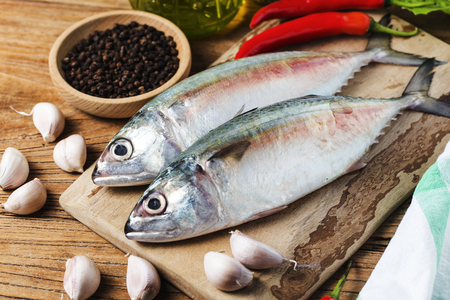 Indian mackerel Rastrelliger kanagurtaの写真素材