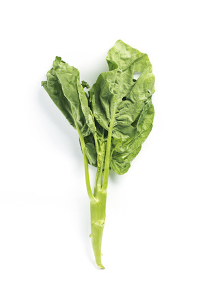 Chinese kale vegetable isolated on white background.の写真素材
