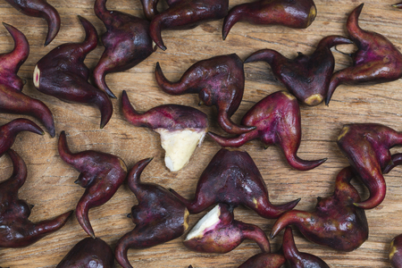Fresh Water Caltrops