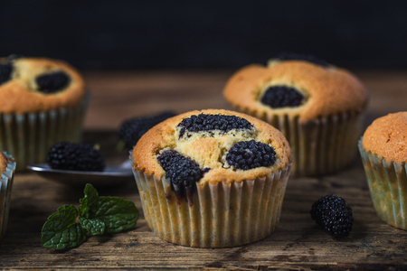 Mulberry muffinsの写真素材