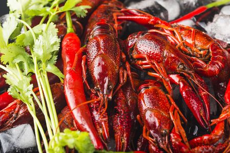 Fresh cooked crayfish in ice cubesの写真素材