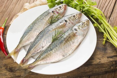 raw mackerel with  spicesの写真素材