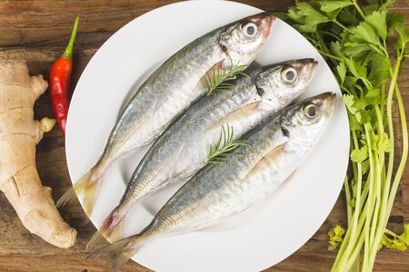 raw mackerel with  spicesの写真素材