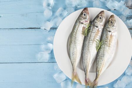 raw mackerel with icesの写真素材