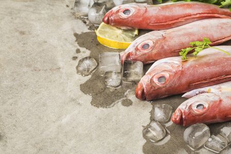 Priacanthus placed on top of iceの写真素材