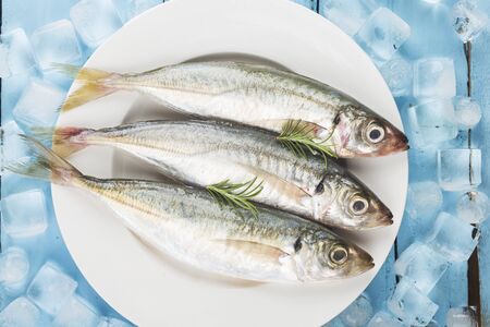 raw mackerel with ice cubes
