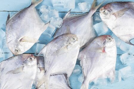 Fresh trout placed on blue wooden boardの写真素材