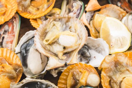 Assorted fresh shellfish-Green Mussels, Oysters, Scallopsの写真素材