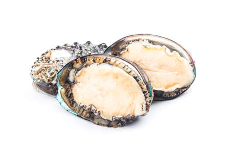 Raw abalones on the white backgroundの写真素材