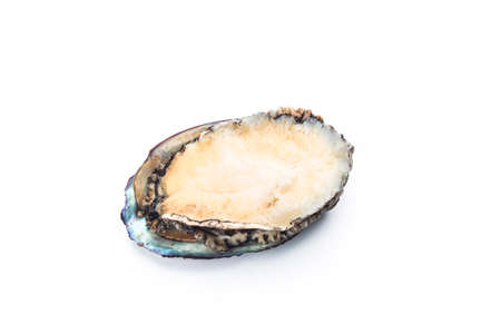 Raw abalones on the white backgroundの写真素材