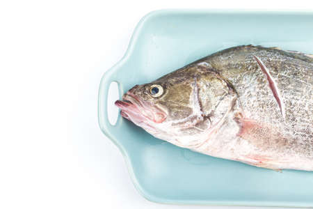 A piece of fresh osmanthus fish on a plate