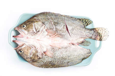 A piece of fresh osmanthus fish on a plate