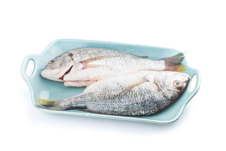 Fresh raw Gilt-head sea bream isolated on a white background.