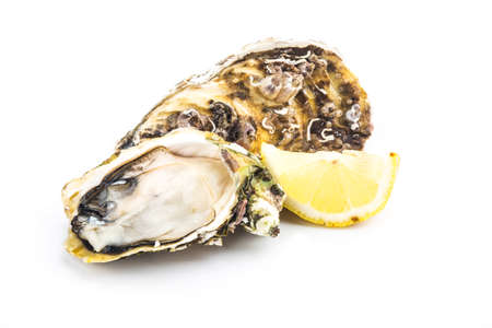 Fresh opened oyster on white backgroundの写真素材