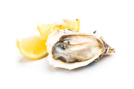 Fresh opened oyster on white backgroundの写真素材