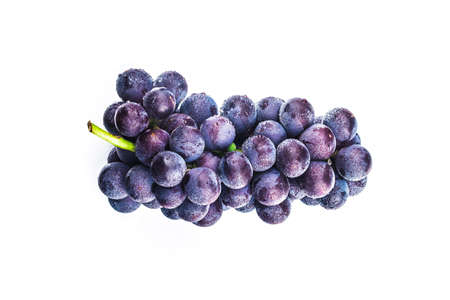 Purple grape isolated on white background.の写真素材