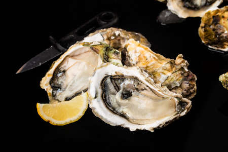 Opened oysters, ice and lemon on a black background.