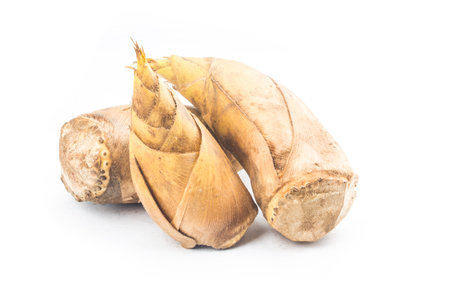 Fresh bamboo shoots on white backgroundの写真素材