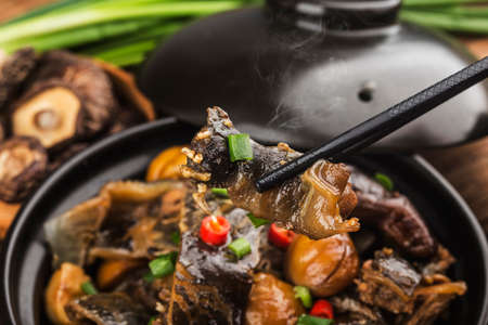 Chinese Cuisine: Braised Chestnut Turtle