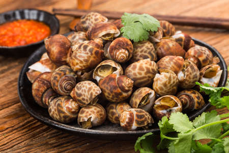 Babylonia areolata shellfish seafood on bowl ready for eat or cookedの写真素材