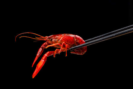 Spicy crayfish crawfish food Chinese food crustaceans Red crayfishの写真素材