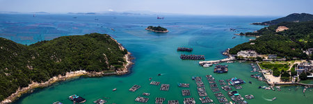 panoramic view of hong kong island from a bird's eye view