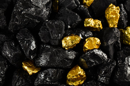 Gold nuggets on a black coal background. Gold nuggets.の写真素材