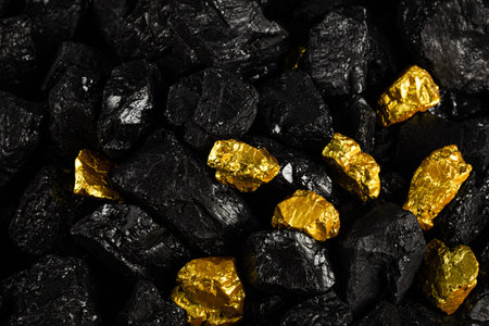 Gold nugget on the black coal background. Gold nugget.の写真素材
