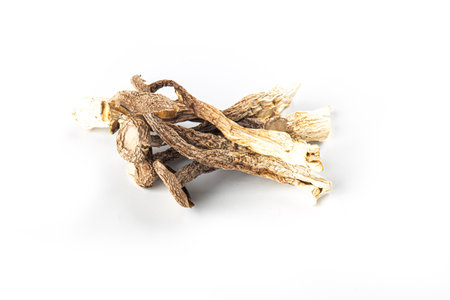 Dried mushroom.