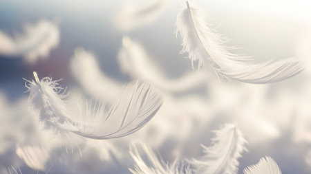 Stock showing soft white feathers floating gently in a bright airy light background.の写真素材