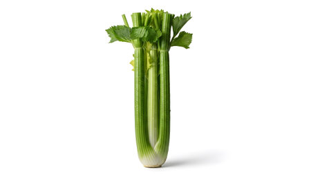 A bunch of fresh green celery stalks with vibrant leafy tops, presented on a white background.