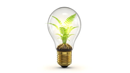 Light showing clear glass light bulb containing a green fern plant and soil on white background....