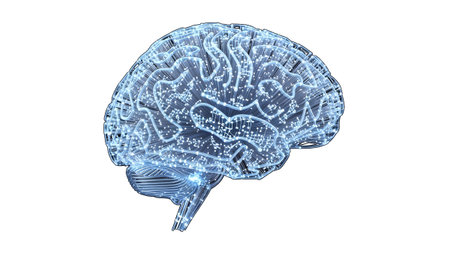 showing digital glowing blue brain network with circuits and nodes on white background....