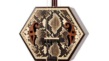 Pattern showing hexagonal erhu instrument body with snakeskin pattern and wooden inlays on...