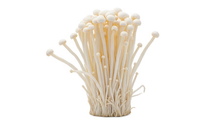 Enoki showing group of enoki mushrooms with creamy white stems and small rounded caps on a white...